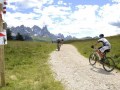 leighs-cycle-centre-trans-alps-11-4